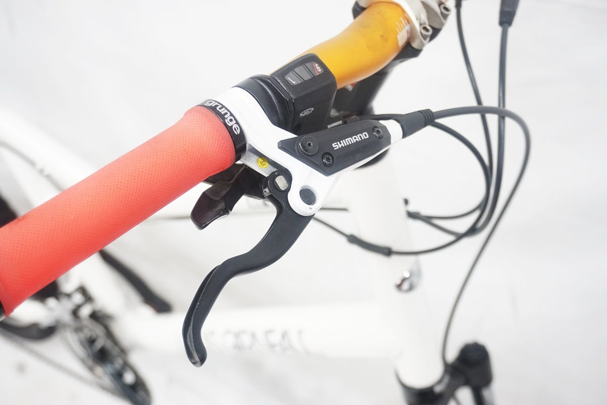 LOUIS GARNEAU 「ルイガノ」 LGS-MV5 2010年モデル 20インチ ミニベロ/ 大阪美原北インター店