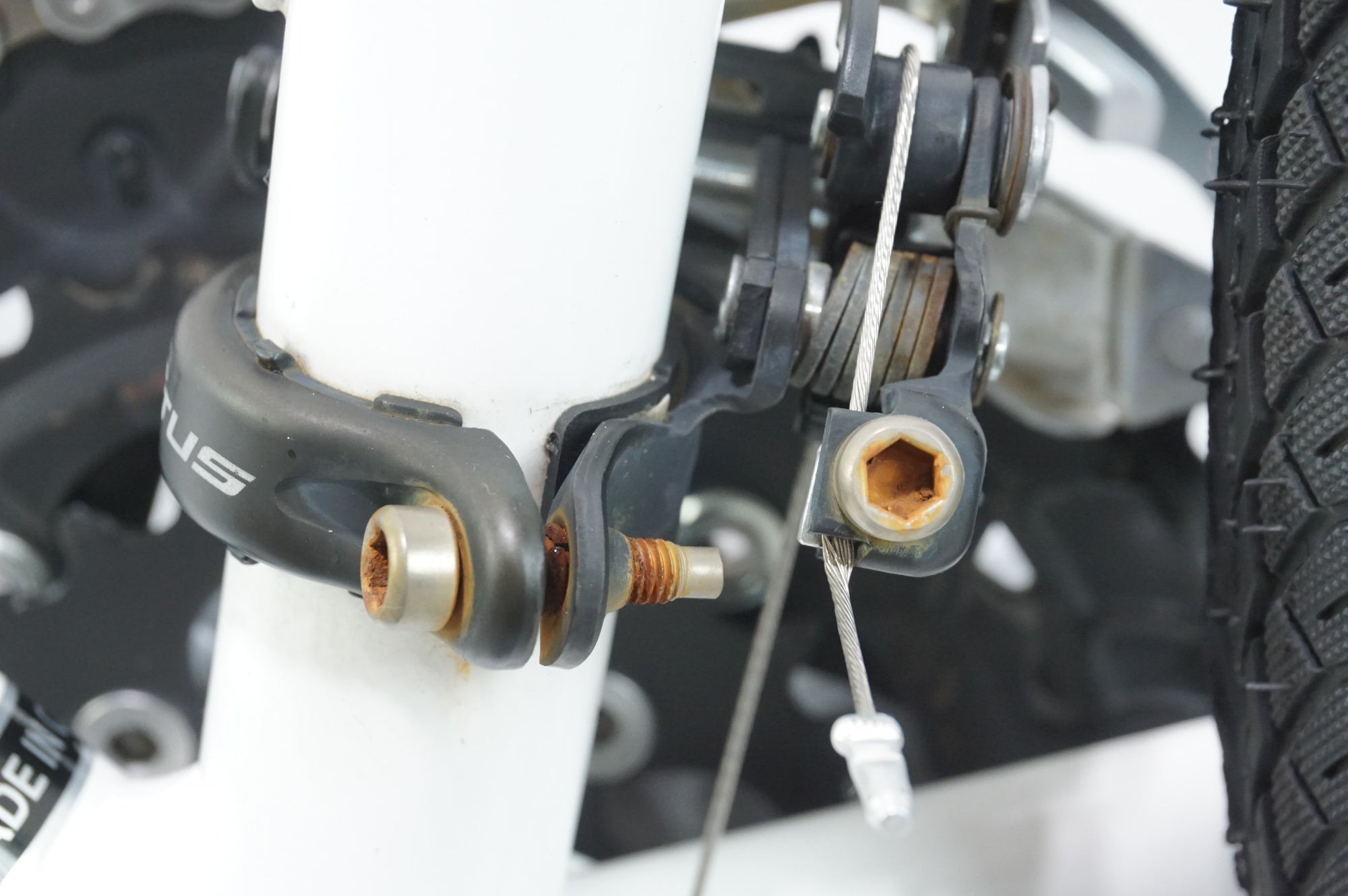 COLNAGO 「コルナゴ」 EPOCA 2022年モデル クロスバイク / 中目黒店