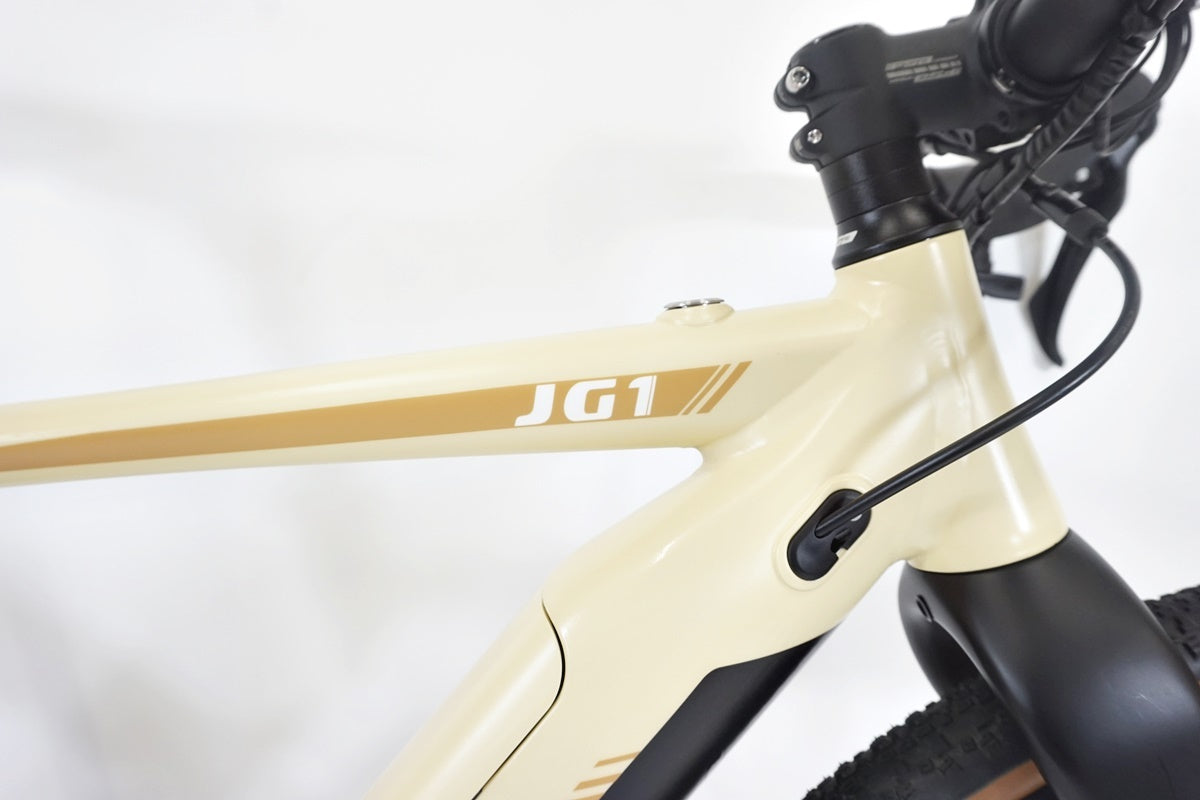 BESV 「ベスビー」 JG1 2022年購入 E-BIKE / 東京商品化センター