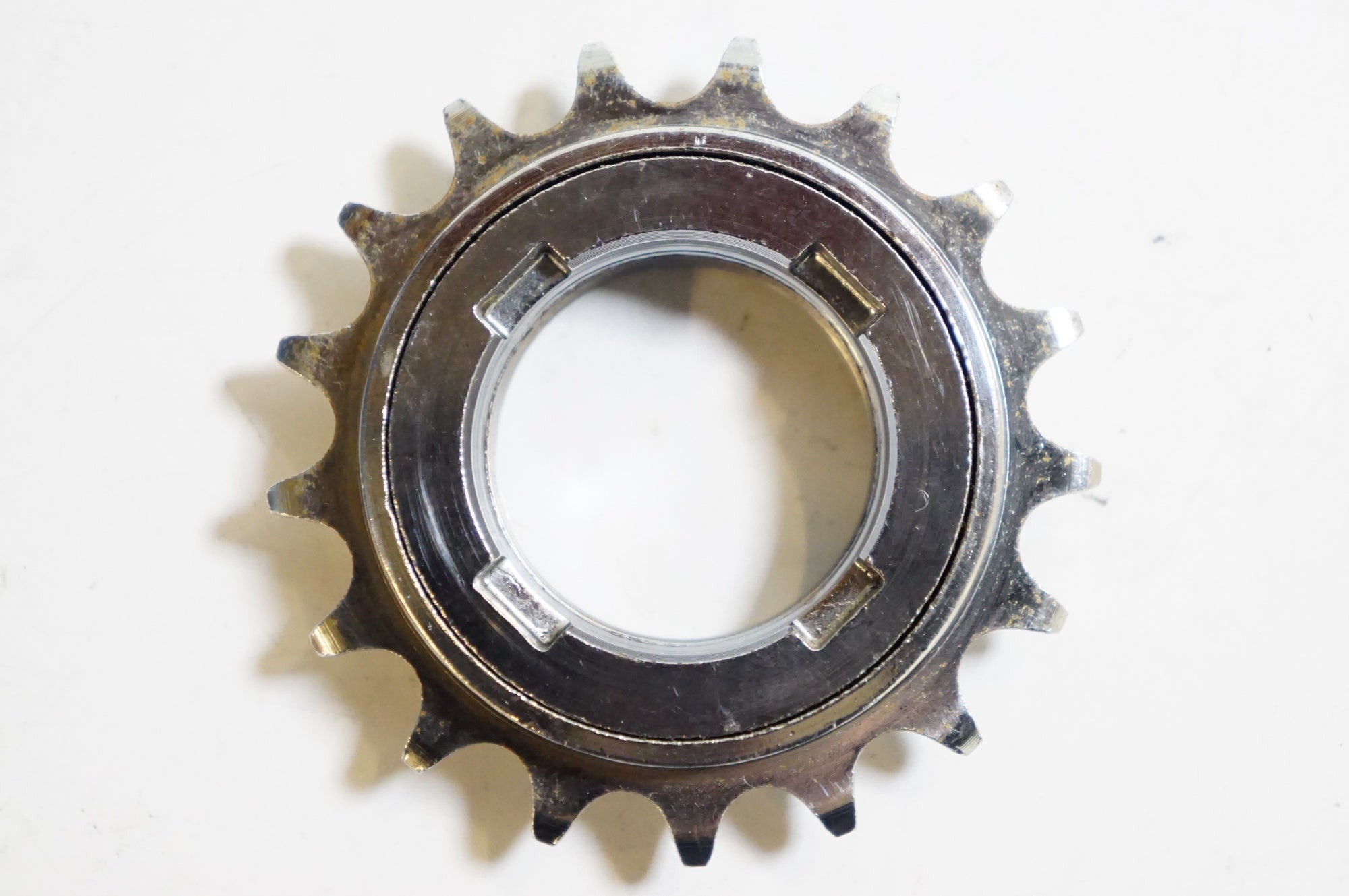 DICTA 「ディクタ」 17T フリーコグ / 熊谷本店