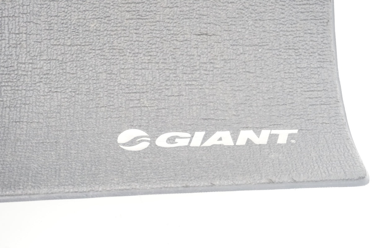 GIANT 「ジャイアント」 トレーナーマット / 滋賀大津店