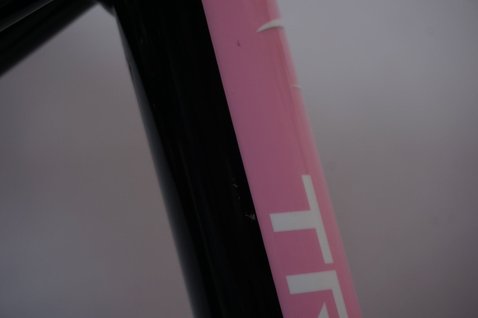 PINARELLO 「ピナレロ」 TREVISO 2011年モデル フラットバーロード カスタム / 世田谷店