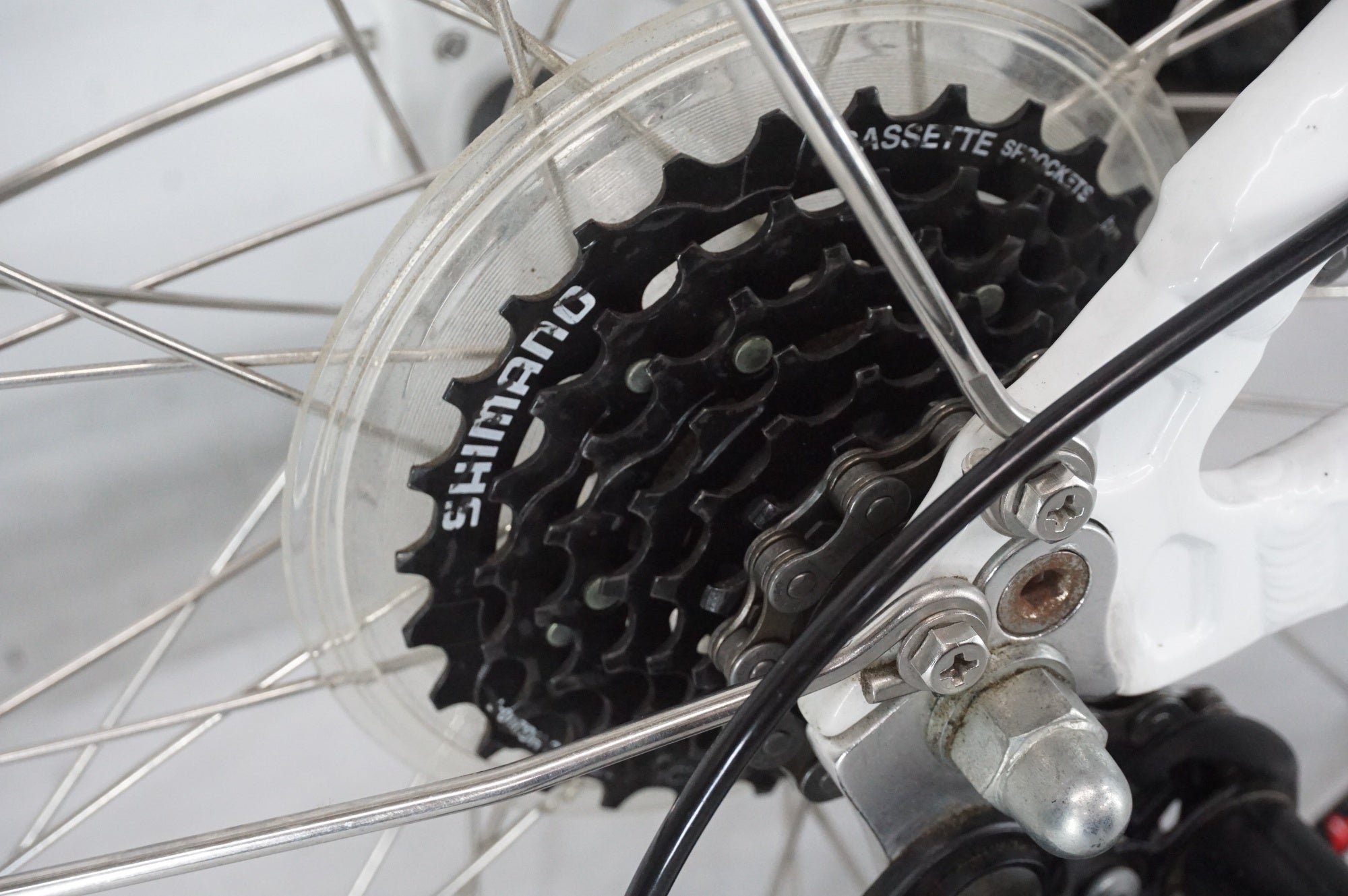 LOUIS GARNEAU 「ルイガノ」 EASEL7.0 2023年モデル 20インチ ミニベロ / 阪急塚口店