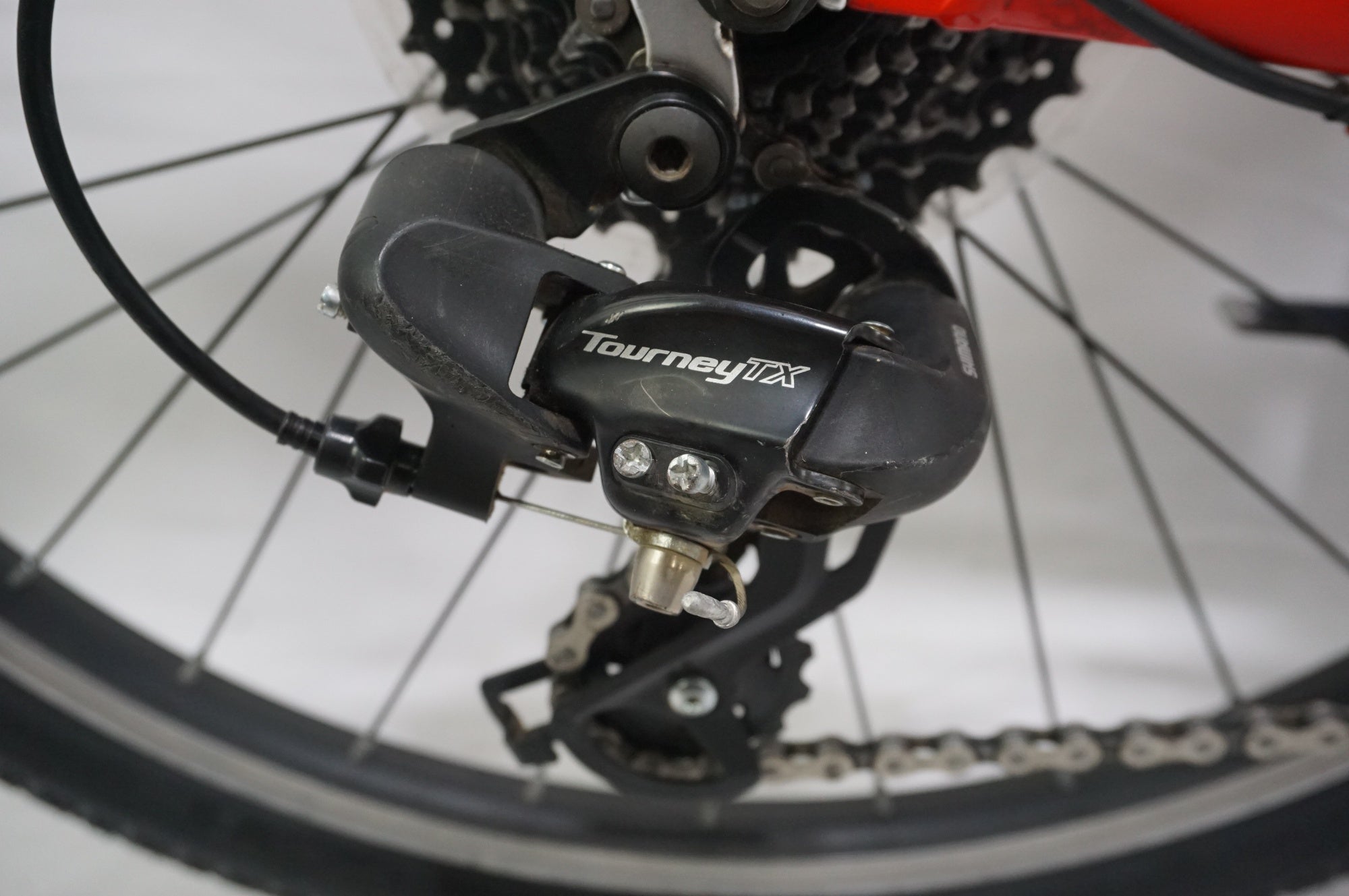 TREK 「トレック」 PRECALIBER 24 2020年モデル 24インチ キッズバイク / 中目黒店