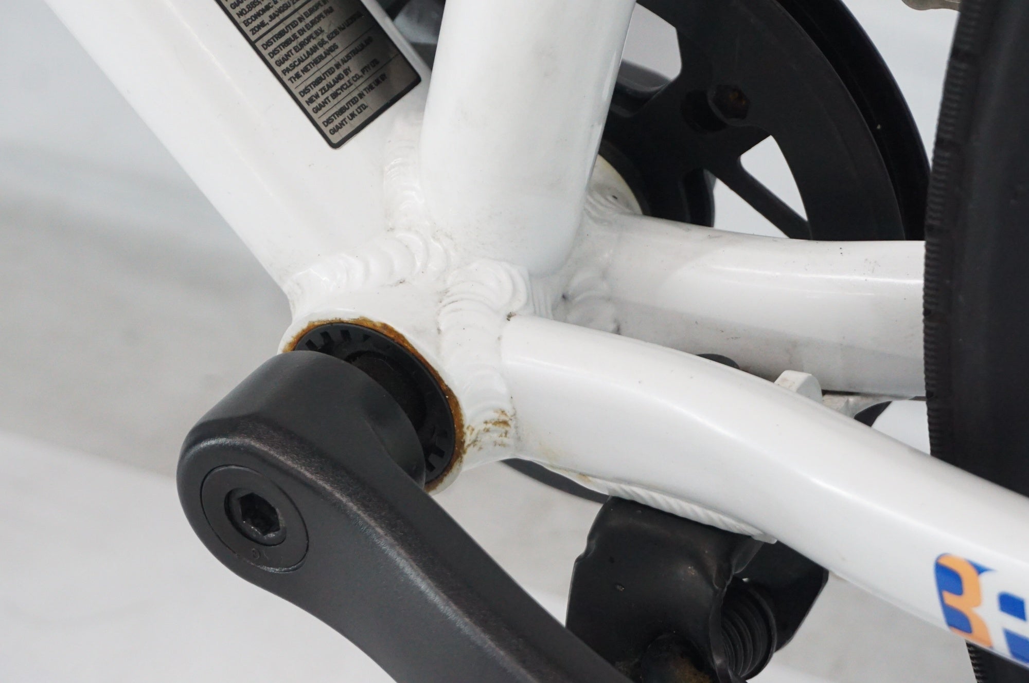 GIANT 「ジャイアント」 LIV ALIGHT24 2020年モデル 24インチ キッズバイク / 阪急塚口店