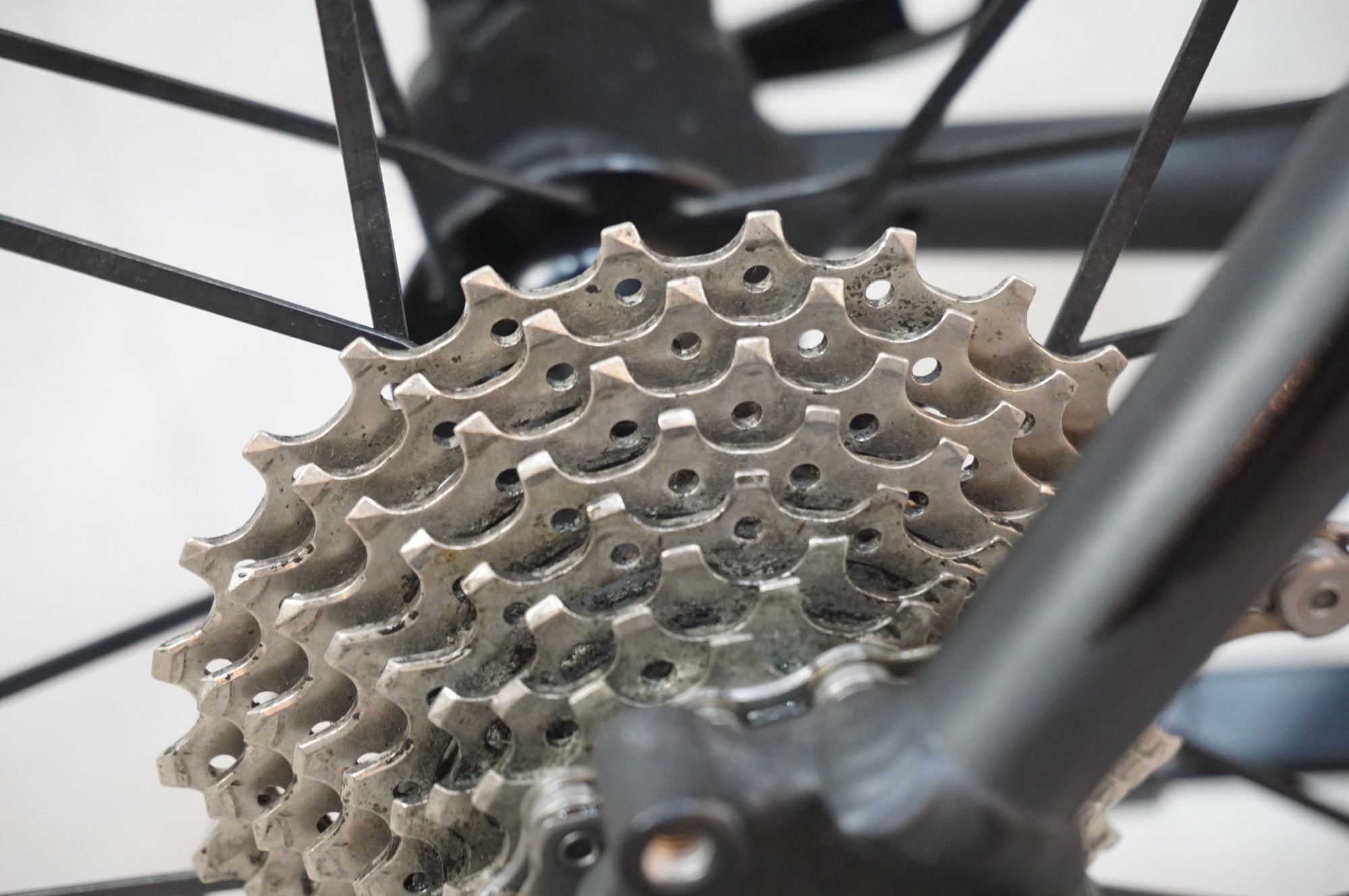 TERN 「ターン」 SURGE PRO DELTA 2019年モデル 20インチ ミニベロ / 浦和ベース