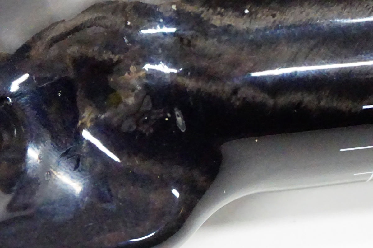 3T 「スリーティー」 AEROTUNDO LTD Φ31.8 400mm ハンドル  / 名古屋大須店