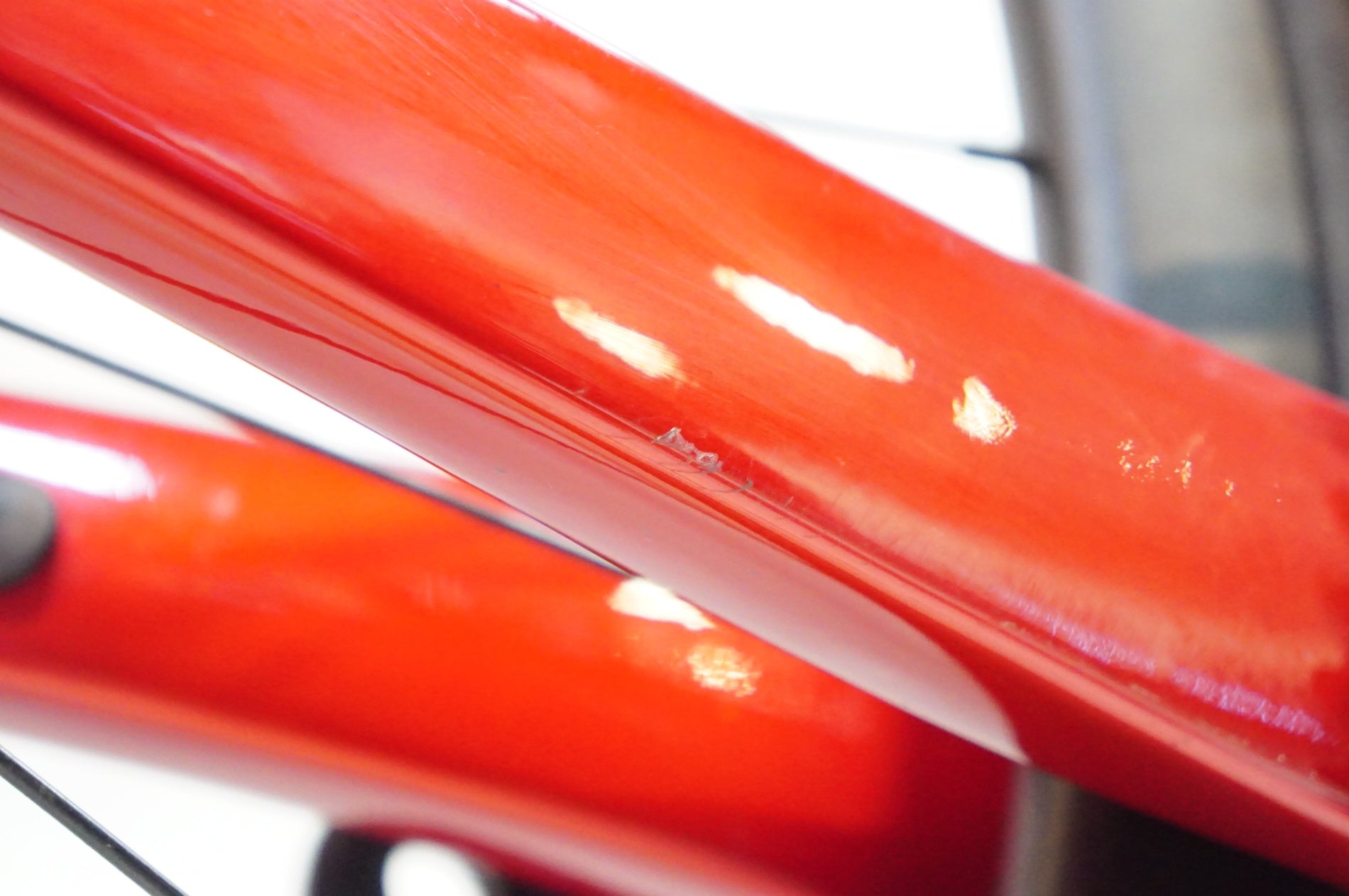 CEEPO 「シーポ」 MAMBA R 105 Di2 2023年モデル ロードバイク / 熊谷本店