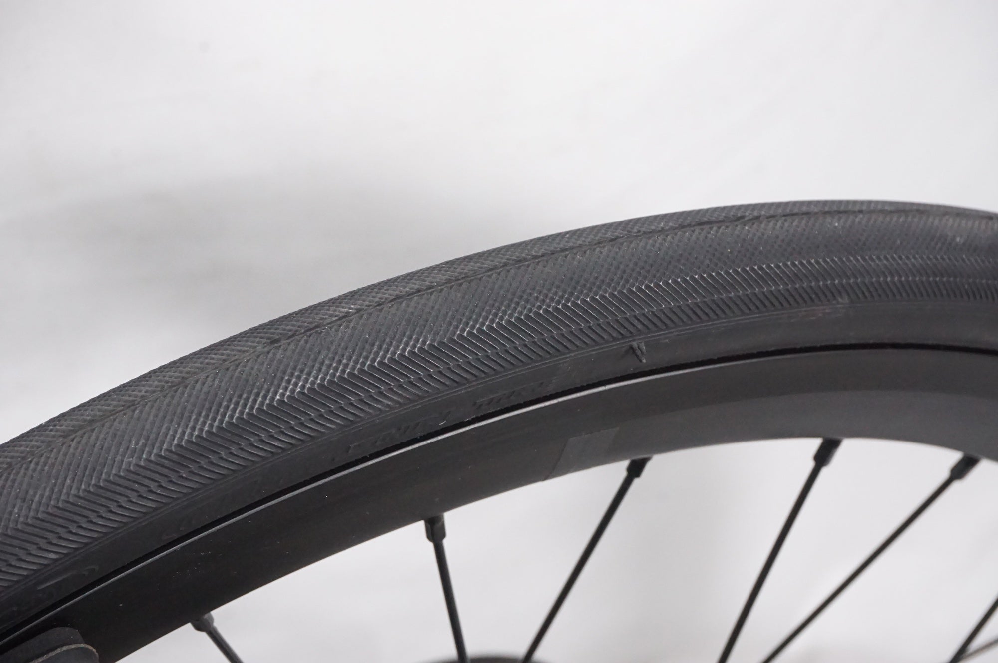 TERN 「ターン」 SURGE 2025年モデル 20インチ ミニベロ / AKIBA店