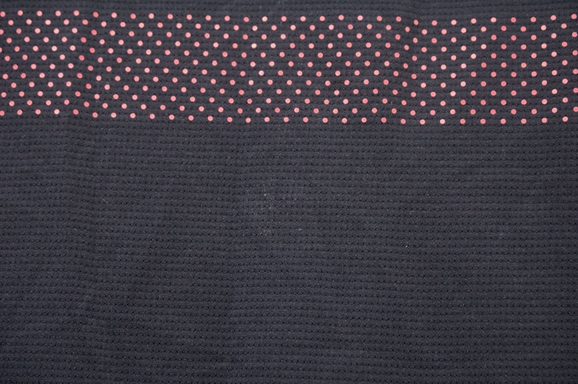 RAPHA 「ラファ」 Mサイズ Tシャツ / 世田谷店